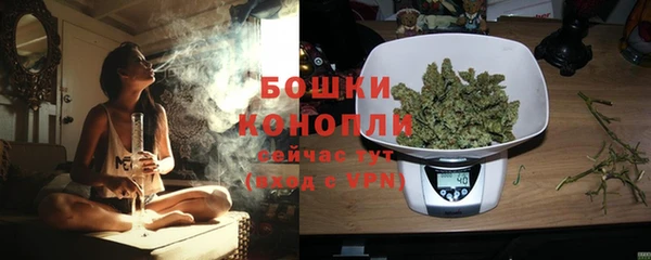 крисы Ладушкин