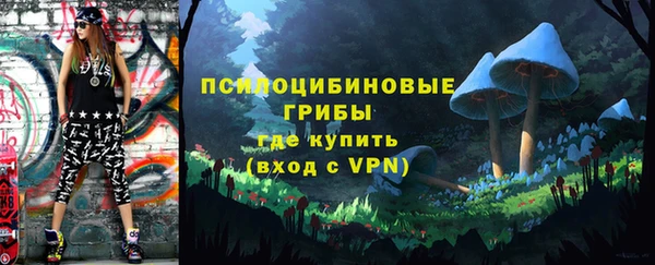 ешки Лагань