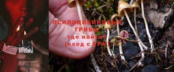 индика Куйбышев