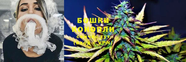 крисы Ладушкин