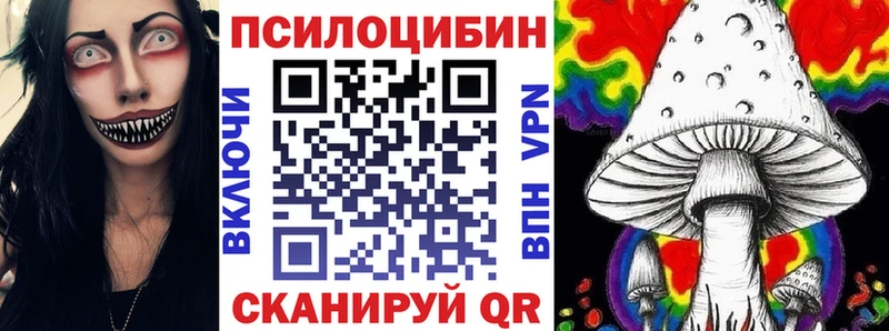 закладка  Лобня  Галлюциногенные грибы Cubensis 