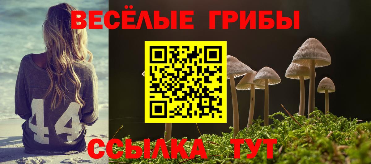 Галлюциногенные грибы MAGIC MUSHROOMS  Вход с VPN  Псилоцибиновые грибы мицелий  Лобня 